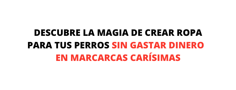 DESCUBRE LA MAGIA DE CREAR ROPA PARA TUS PERROS SIN GASTAR DINERO EN MARCARCAS CARÍSIMAS